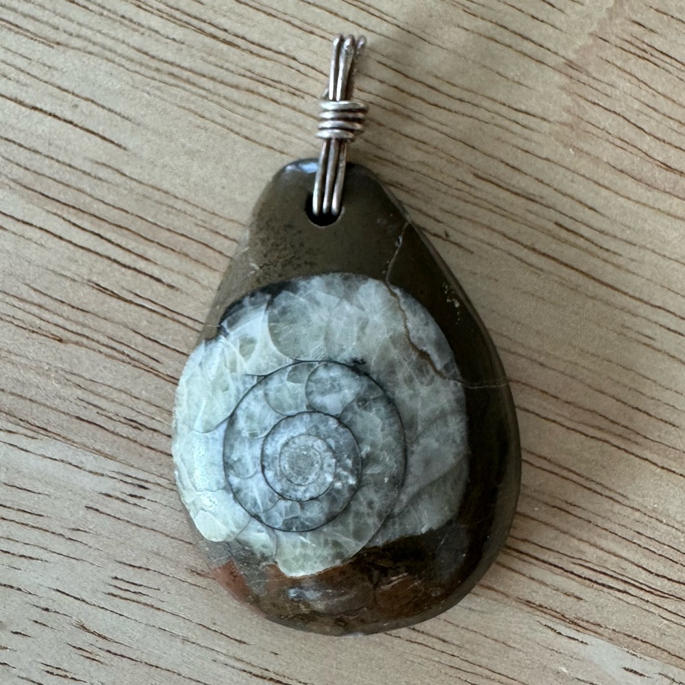 Polished crystalline fossil pendant with sterling silver wire-wrap bale